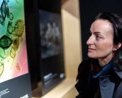 Mechorost jako predátor. Výstava Věda fotogenická ukazuje krásy vědy i humor